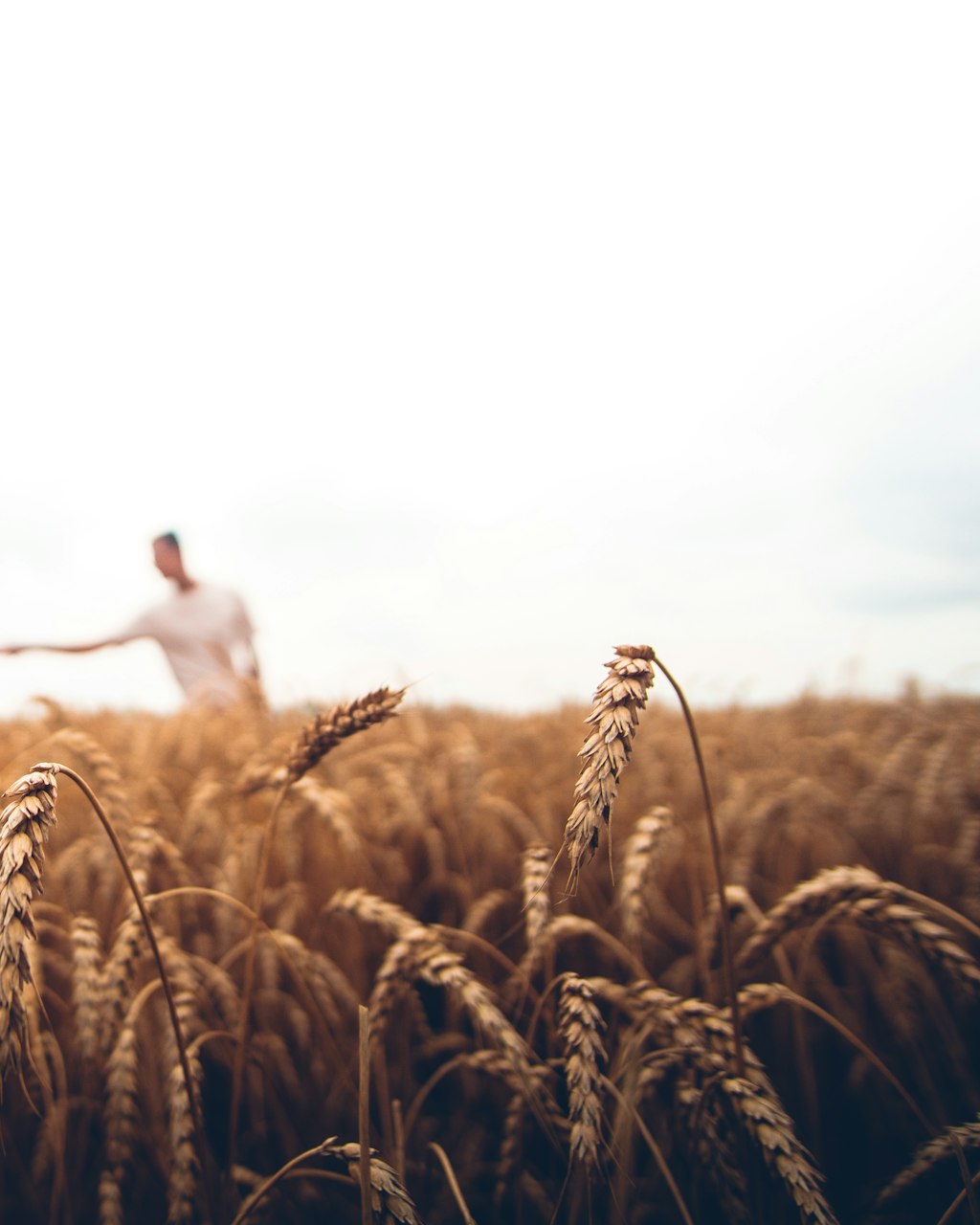 Agriculture & Allied Activities